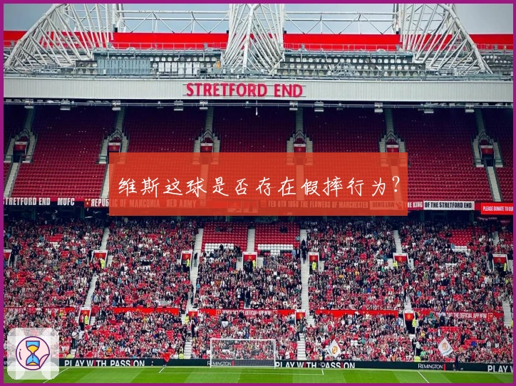 维斯这球是否存在假摔行为？