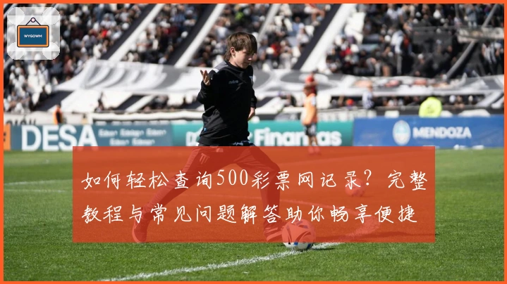 如何轻松查询500彩票网记录？完整教程与常见问题解答助你畅享便捷体验