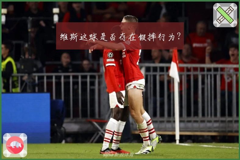 维斯这球是否存在假摔行为？