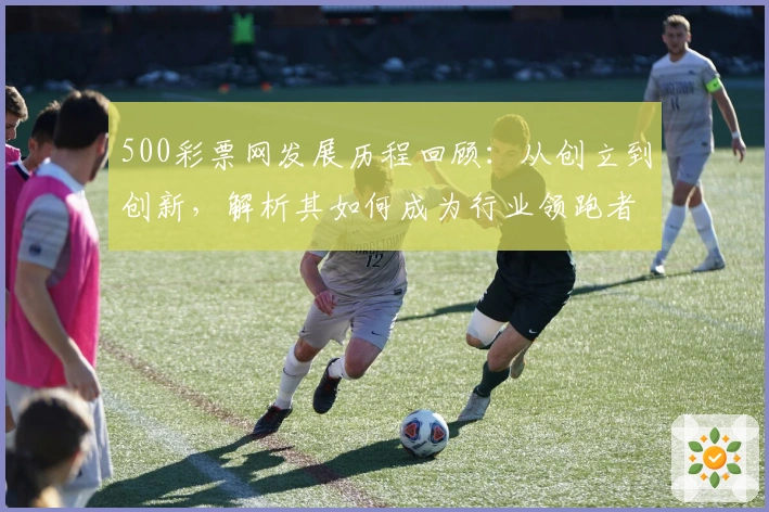 500彩票网发展历程回顾：从创立到创新，解析其如何成为行业领跑者