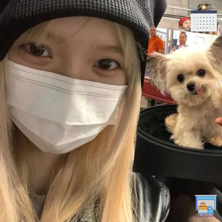 哈登大胡子粉丝